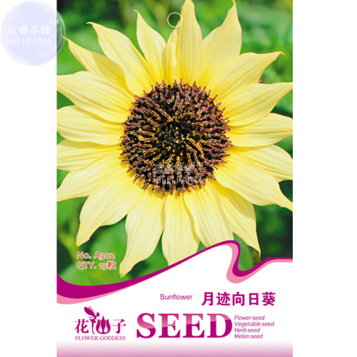 BELLFARM Sunflowers Bright Yellow Small Flower Seeds, 15 Seeds, Original pack, many heads ornamental flowers bonsai A302