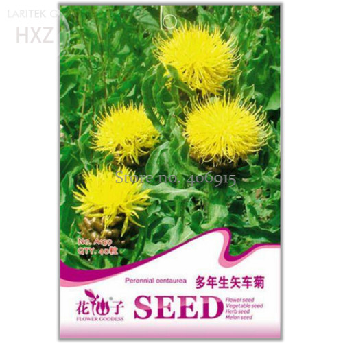 Beautiful Yellow Cornflower Flower Seeds, 40 seeds, ornamental flowers light up your garden A139