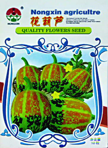 Rare Colorful Pumpkin 'Hua Hu Lu' Ornamental Edible Vegetable Seeds, 1 Original Pack, 10 Seeds / Pack, Interesting Gourd #NF618
