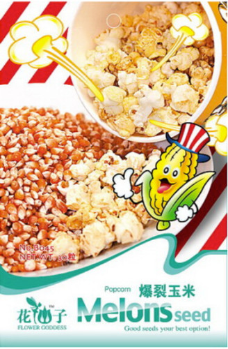 Organic Popcorn Seeds, Original Pack, 30 Seeds / Pack, Sweet Zea Mays Seeds #B045