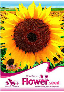 1 Original Pack, 15 Seeds / Pack, Annual Sunflower Oil Seeds Great for Bird Seeds #A135