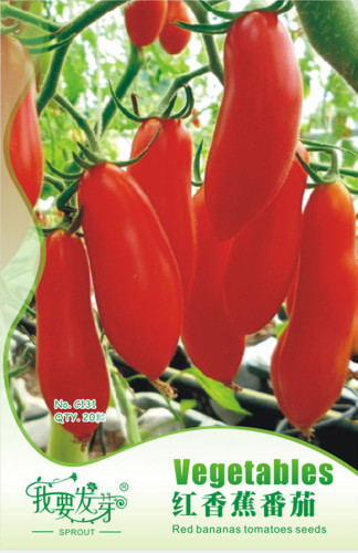 Original Pack, 20 Seeds / Pack, Red Banana Tomato Seed Organic Heirloom Vegetables #NF478