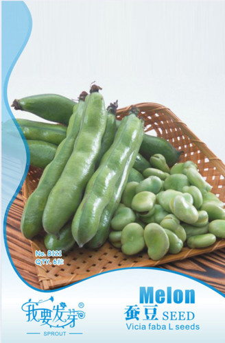 Original Pack, 6 Seeds / Pack, Broad Bean Seed Aquadulce Organic Vegetables #NF480