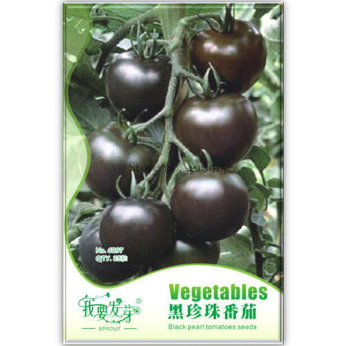 Heirloom Black Tomato Middle-sized Fruit Seeds, Original Pack, 25 Seeds, tasty edible sweet tomato IWSC097