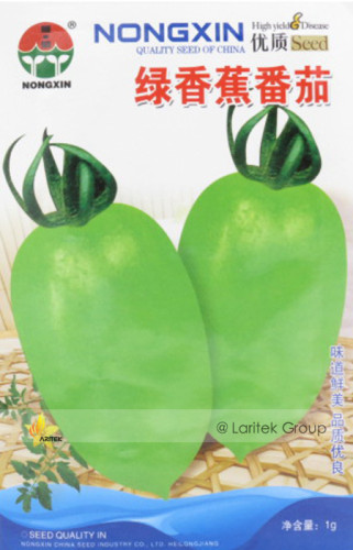 'Green Banana' Tomato Seeds, 1 Original Pack, Approx 150 Seeds / Pack, Heirloom Organic Tasty Vegetables #NX015