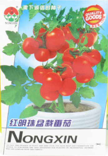 Rare Bright Red Bonsai Cherry Tomato Organic Seeds, Original Pack, 120 Seeds / Pack, Heirloom Indoor Planting Tomato Fruit E3038