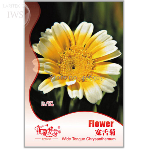 Beautiful Yellow Chrysanthemum Seeds, Original pack, 20 Seeds, cold-resistant potted plant for DIY home garden IWSA285