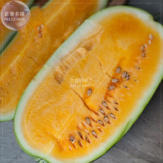 BELLFARM Watermelon Orange Rare Organic Fruit Seeds, 20 seeds, professional pack, heirloon long giant water melon