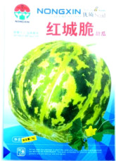 Heirloom Yellow Green Sticky Sweet Melon (Sugar 17% Contained) Fruit Seeds, Original Pack, 200 Seeds / Pack, Tasty Muskmelon