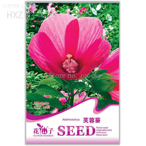 Hibiscus Moscheutos Flower Seeds, Original Package, 25 seeds, balcony planting ornamental flowers A160