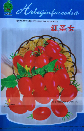 Bright Red Cherry Tomato Seeds, Original Pack, 50 Seeds / Pack, Organic Vegetables Tomato #BN00005