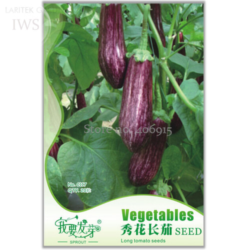 Heirloom Rare Long eggplant Seeds, Original Pack, 20 seeds, organic healthy delicious fruit vegetable seeds IWSC117
