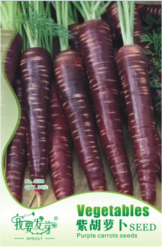 Heirloom Purple Carrot Vegetable Seeds, Original Pack, 30 Seeds / Pack E3295