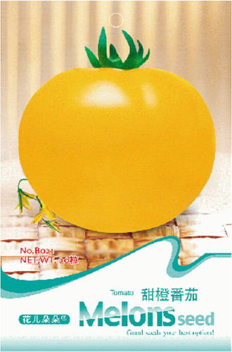 100% True Variety Big Yellow Tomato 'Mr. Huang' Organic Seeds, Original Pack, 20 Seeds / Pack, New Vegetable Seeds B021