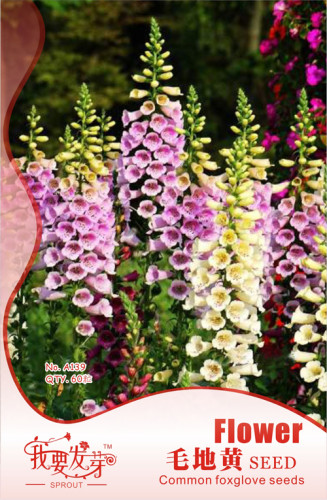 1 Original Pack, 60 seeds / pack, Digitalis Purpurea Foxglove Colorful Flowers #NF249