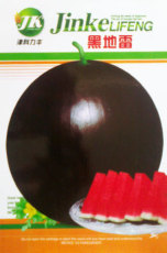 Super Black Skin Red Seedless Watermelon 'Landmine' Organic Seed, Original Pack, 40 Seeds / Pack, Super Sweet Juicy Edible Melon