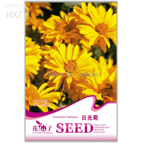 Beautiful Flower Sunlight Chrysanthemum Seeds,Original Pack, 50 seeds, long lasting blooming flowers beautiful garden flowerA085