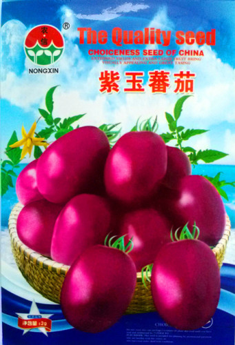 Purple Amaranthine Tomato Seeds, Original Pack, Approx 500 Seeds / Pack, NON-Gmo Edible Tasty Tomato Herbs Fruits E3045