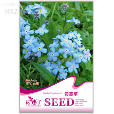 Blue Myosotis Sylvatica Bonsai Seeds, 50 seeds, easy to grow beautiful flower light up your garden A102