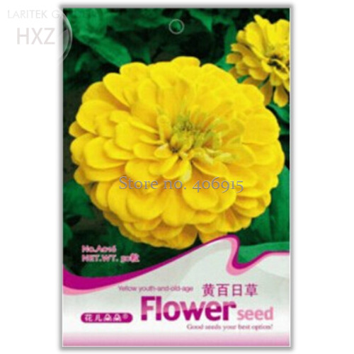 Beautiful Yellow Zinnia Seeds, Original Pack,  50 seeds, easy to grow long flowering period light up your garden A016