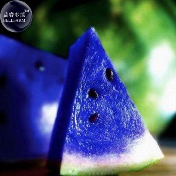 BELLFARM Rarest African Blue Watermelon NON-GMO Seeds, 10 Seeds / Pack, 10% Sugar Juicy Edible Water Melon E3009