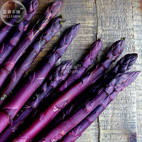 BELLFARM Asparago Asparagus Violette Sweet Purple Vegetable Seeds, 20 seeds, professional pack, home garden organic asgus