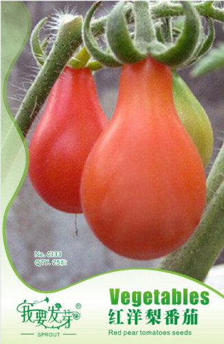 Rare Anhui Middle Red Pear Tomato Organic Seeds, Original Pack, 25 Seeds / Pack, Tasty Sweet Fruit E3059