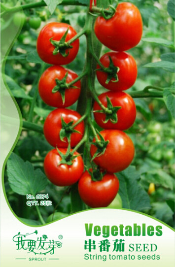 Rare Anhui String of Red Tomato Organic Seeds, Original Pack, 25 Seeds / Pack, Sweet Tasty Fruit E3058