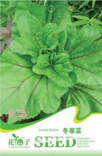 Fresh Organic Edible Chinese Mallow Vegetable Seeds, Original Pack, 20 Seeds / Pack, Malva Verticillata Donghancai Herb Seeds