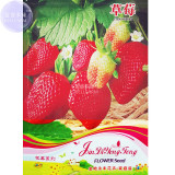 BELLFARM Giant Strawberry Oblate Red Fruit Seeds, 40 Seeds, Original pack, organic sweet bonsai gardening plant E4302