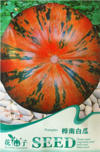 1 Original Pack, 30 seeds / pack, Edible Large Orange Pumpkin with Green Stripe Seeds #B104