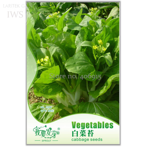 Heirloom Chinese Cabbage Vegetable Seeds, Original pack, 50 Seeds, healthy green organic vegetables IWSC106