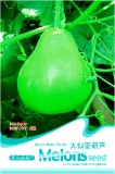 'Winebibber' Large Spoon Bottle Gourd Edible Organic Vegetable Seeds, Original Pack, 8 Seeds / Pack, Tasty Calabash Ornamental