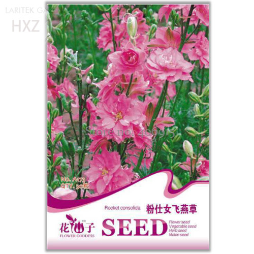 Beautiful Pink Larkspur Flower Seeds, Original Package, 30 seeds, ornamental flower seeds light up you gardenA173