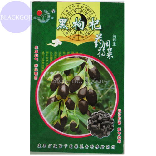 Lycium ruthenicum 100% Genuine Black Goji Wolfberry with black skin, Original Pack, 30 Seeds, Chinese herbal medlar Other408