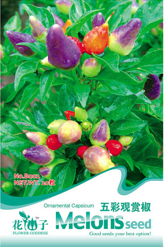 1 Original Pack, approx 20 Seeds / Pack, Colorful Ornamental Pepper ''Mini Bubble Rainbow'' Garden Seed #B002