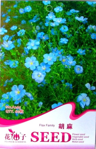 Heirloom Wild Blue Flax Perennial Flower Seeds, Original Pack, 60 Seeds / Pack A265