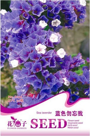 Blue Sea Lavender Seeds, Original Pack, 30 Seeds / Pack, Statice Blue Dry Flower Limonium Sinuatum #A196