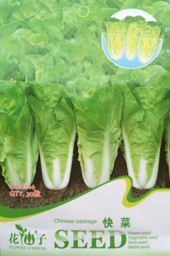 Heirloom Chinese Cabbage Wong Bok Vegetable Seeds, Original Pack, 30 Seeds / Pack, Organic Vegetables #C124