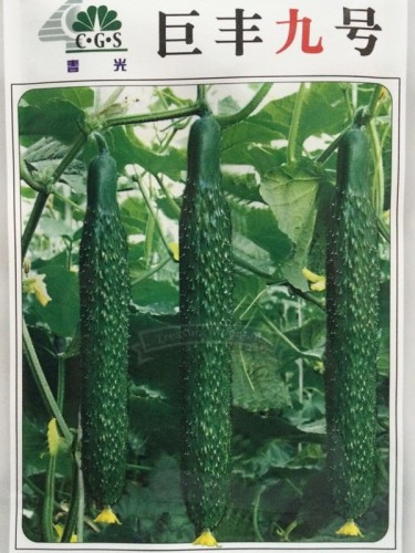 1 Original pack, 25g Dark Green Cucumber Seeds, High Yield, Suitable for grow it on a large scale, Greenhouse, open land ok