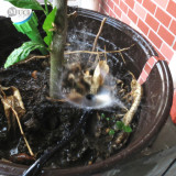 MUCIAKIE 1PC Sprinkler with 50CM 4/7mm Hose Barb Garden Irrigation System Spray Drip Irrigation Bubble Dripper Adjustable Flux