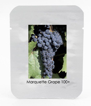 1 Professional Pack, 100 seeds / pack, Marquette Dark Blue Grape Seed Red Wine Grape Hardy Plant Seedling