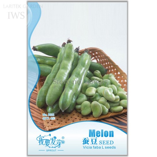 Horsebean Seeds Bonsai Nutrient-rich Vicia Faba, Original Pack, 6 Seeds, balcony organic vegetable seeds IWSB121