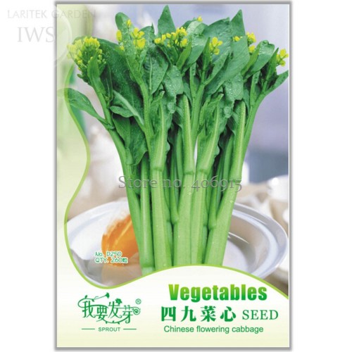 Sweet and Tender Choy Sum Organic Cabbage Seeds, Original Pack, 260 Seeds, green healthy organic vegetable seeds IWSD250