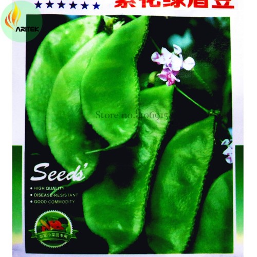 Heirloom 'Jinke' Green Hyacinth Bean Organic Seeds, 15 Seeds, Original Pack, with purple flowers delicious vegetables  OJK021Y