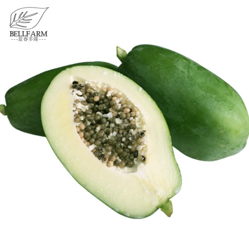 BELLFARM 6PCS Guangxi Green Skin White Inside Giant Papaya Fruit Seeds Heirloom Pawpaw Fruits Great for Garden Organic