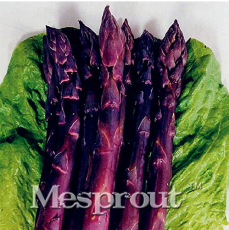 Hot Sale!Four Seasons Purple Asparagus seeds,Delicious jardin vegetable seeds sementes da fruta - 50Seed/Bag