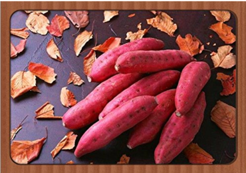 Leguminosae sweet potato seeds,100pcs/bag