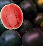 50PCS Black Diamond Watermelon Seeds Black Skin Red Inside Fruits Thin Skin