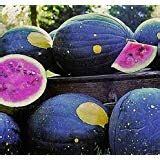 RARE Hokkaido Black Watermelon 10 Seeds